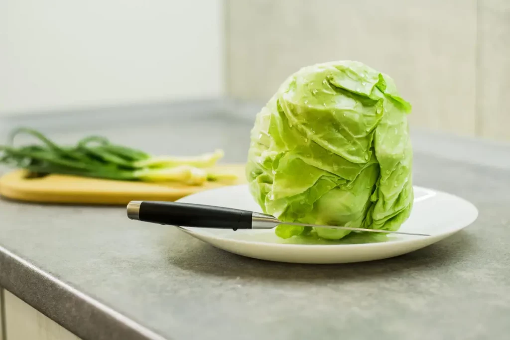 chou vert cuisine